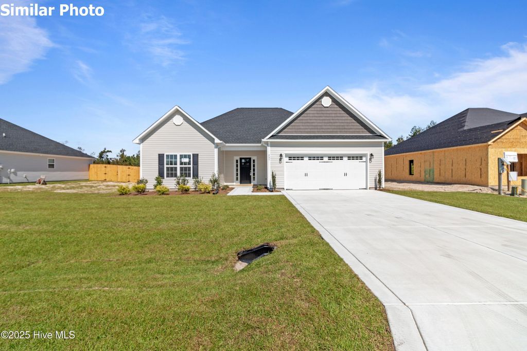 Photo of 716 Puppy Drum Lane, Maysville, NC 28555 (MLS # 100545426)