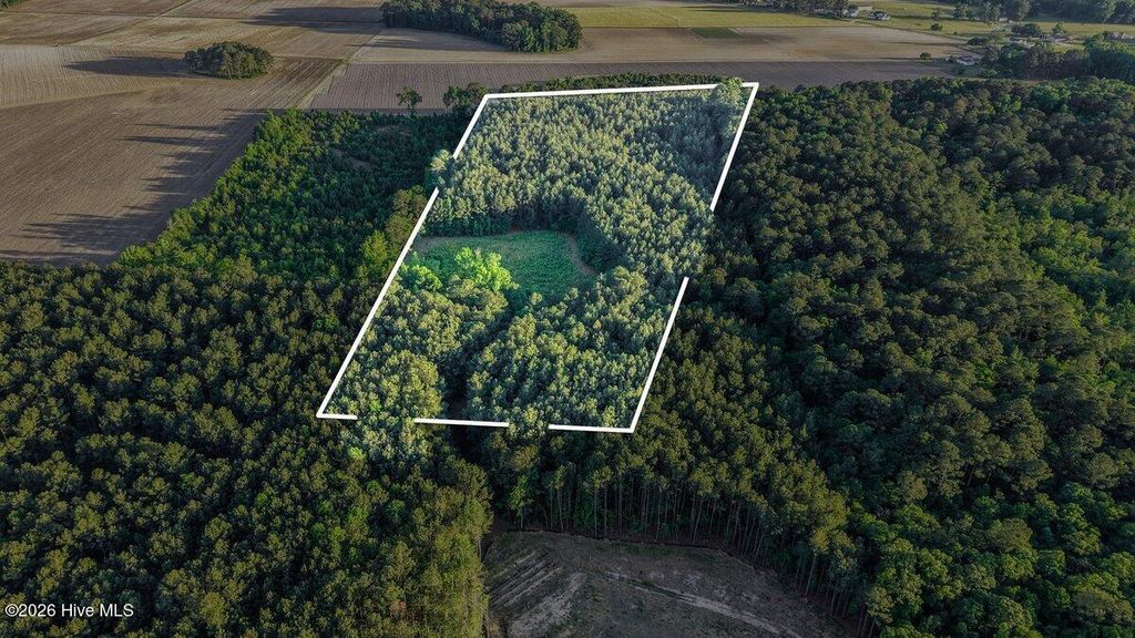 Photo of 0 Pendergrass Drive, Princeton, NC 27569 (MLS # 100572478)