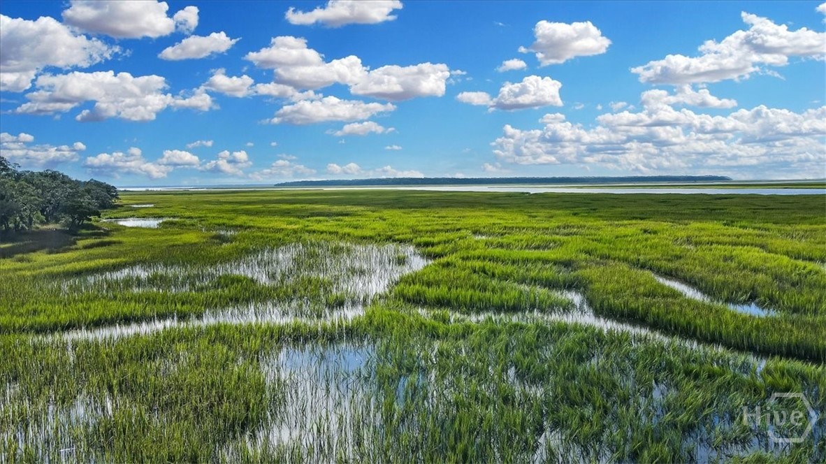 3217 Coopers Point Drive