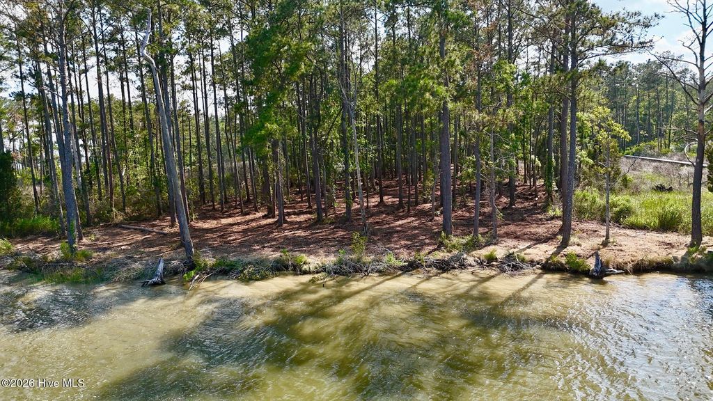 Photo of 0 Seaview Court, Bath, NC 27808 (MLS # 100575121)