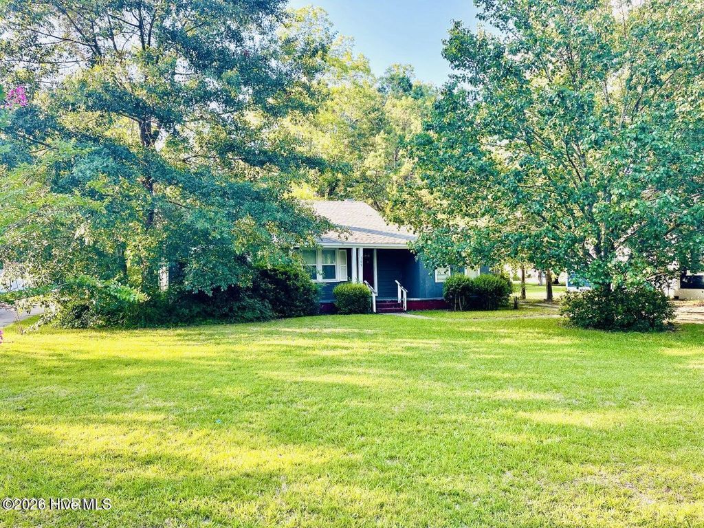 Photo of 309 E Roseboro Street, Roseboro, NC 28382 (MLS # 100561882)