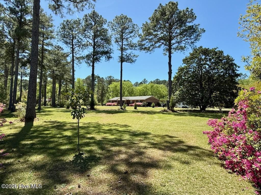 Photo of 215 Croatan Lane, New Bern, NC 28562 (MLS # 100566881)