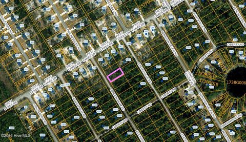 Vacant Land For Sale - L 13 Rockingham Road<br/> Boiling Spring Lakes, NC 28461