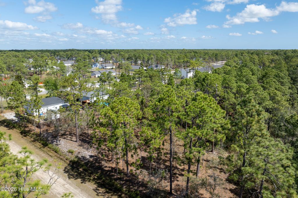 Photo of 13 Rockingham Road, Boiling Spring Lakes, NC 28461 (MLS # 100563739)