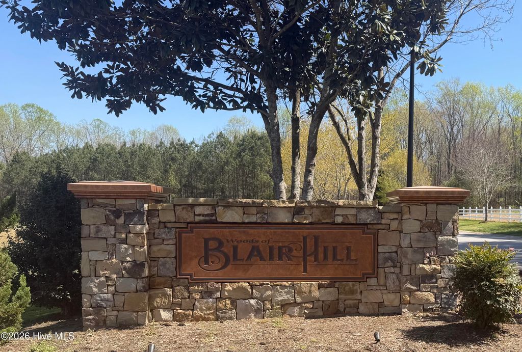 Photo of 204 Blair Hills Road, Wendell, NC 27591 (MLS # 100561949)