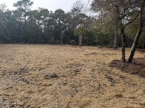 Tiny photo for 591 Valverda Street, Supply, NC 28462 (MLS # 100557088)