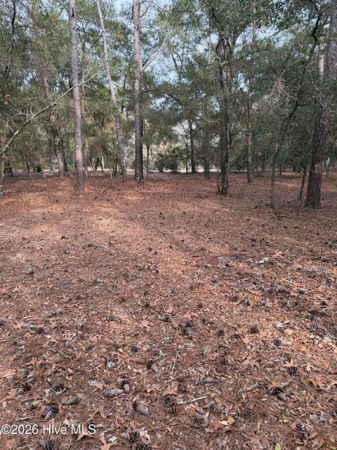 Tiny photo for 591 Valverda Street, Supply, NC 28462 (MLS # 100557088)