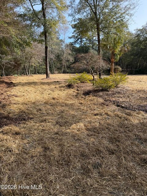 Tiny photo for 591 Valverda Street, Supply, NC 28462 (MLS # 100557088)