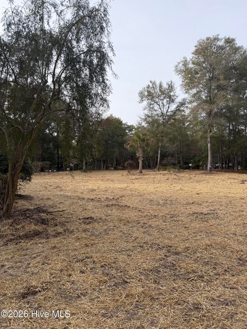 Tiny photo for 591 Valverda Street, Supply, NC 28462 (MLS # 100557088)