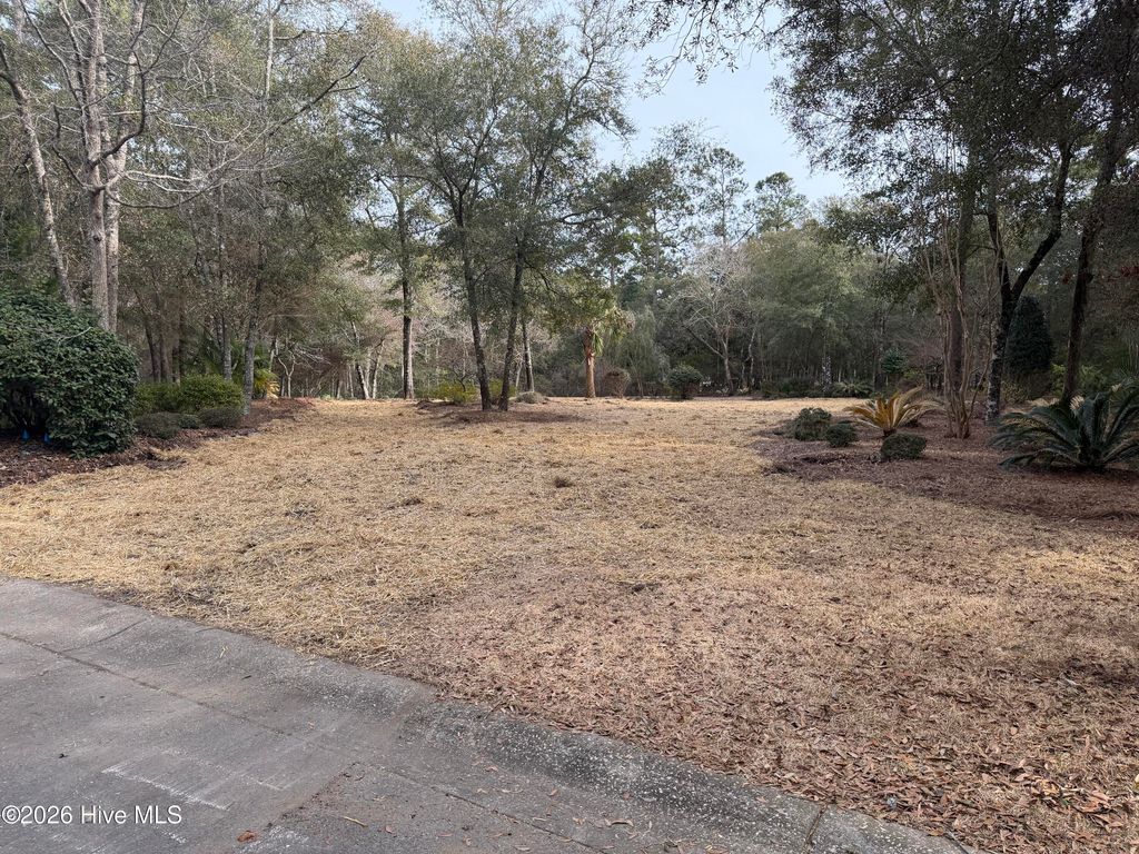 Photo of 591 Valverda Street, Supply, NC 28462 (MLS # 100557088)