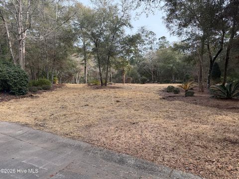 Tiny photo for 591 Valverda Street, Supply, NC 28462 (MLS # 100557088)