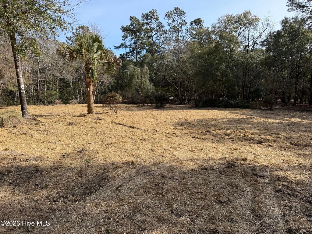 Photo of 591 Valverda Street, Supply, NC 28462 (MLS # 100557088)