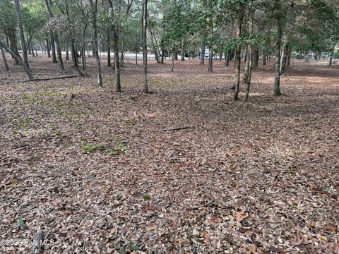 Tiny photo for 591 Valverda Street, Supply, NC 28462 (MLS # 100557088)