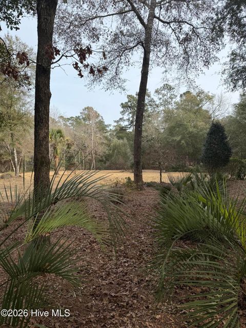 Tiny photo for 591 Valverda Street, Supply, NC 28462 (MLS # 100557088)