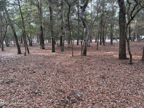 Tiny photo for 591 Valverda Street, Supply, NC 28462 (MLS # 100557088)