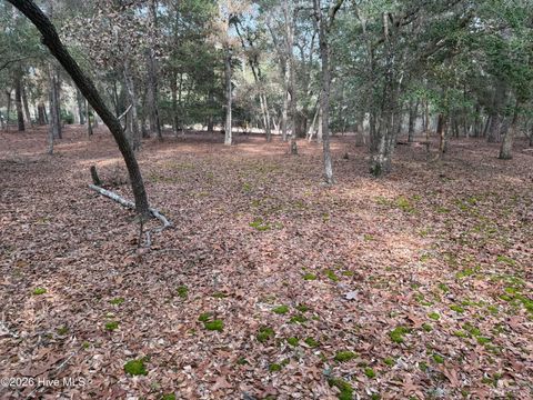 Tiny photo for 591 Valverda Street, Supply, NC 28462 (MLS # 100557088)