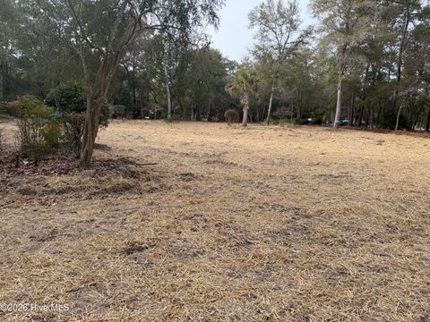 Tiny photo for 591 Valverda Street, Supply, NC 28462 (MLS # 100557088)