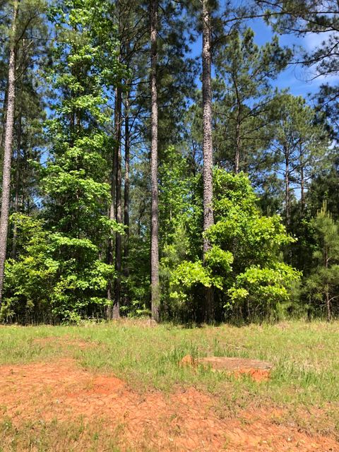 Vacant Land For Sale - LOT 3 C Lighthouse Pointe<br/> Lincoln County, Lincolnton, GA 30817