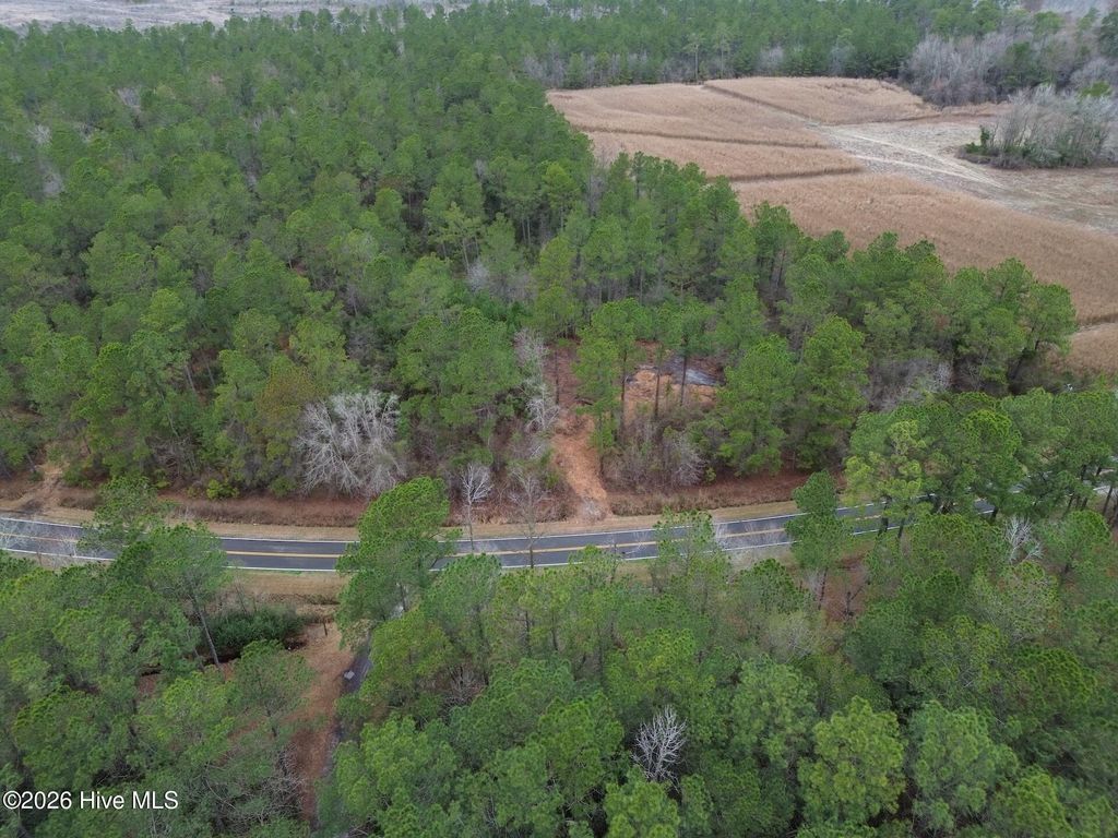 Photo of 1827 Lightwood Bridge Road, Wallace, NC 28466 (MLS # 100558501)