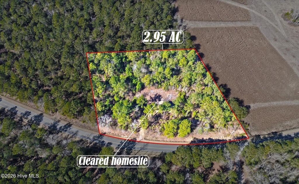 Photo of 1827 Lightwood Bridge Road, Wallace, NC 28466 (MLS # 100558501)