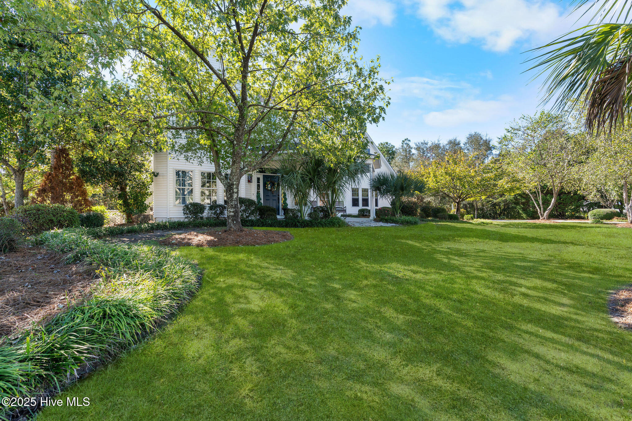 8119 Yellow Daisy Drive