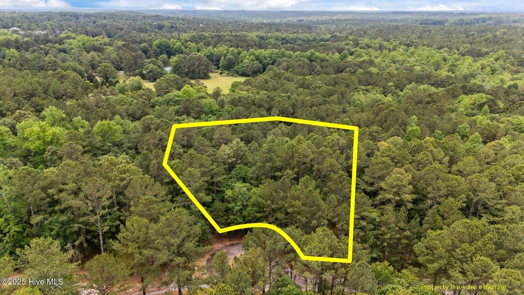 Photo of 111 Millstone Court, West End, NC 27376 (MLS # 100510055)