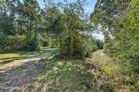 Tiny photo for 107 Ray Lane, Swansboro, NC 28584 (MLS # 100611759)
