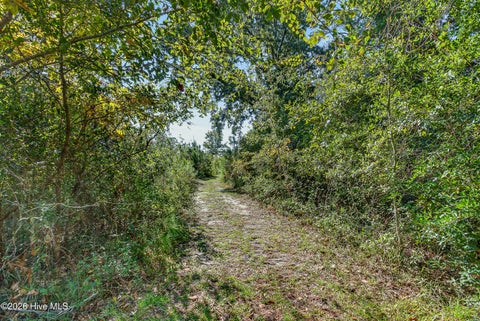 Tiny photo for 107 Ray Lane, Swansboro, NC 28584 (MLS # 100611759)