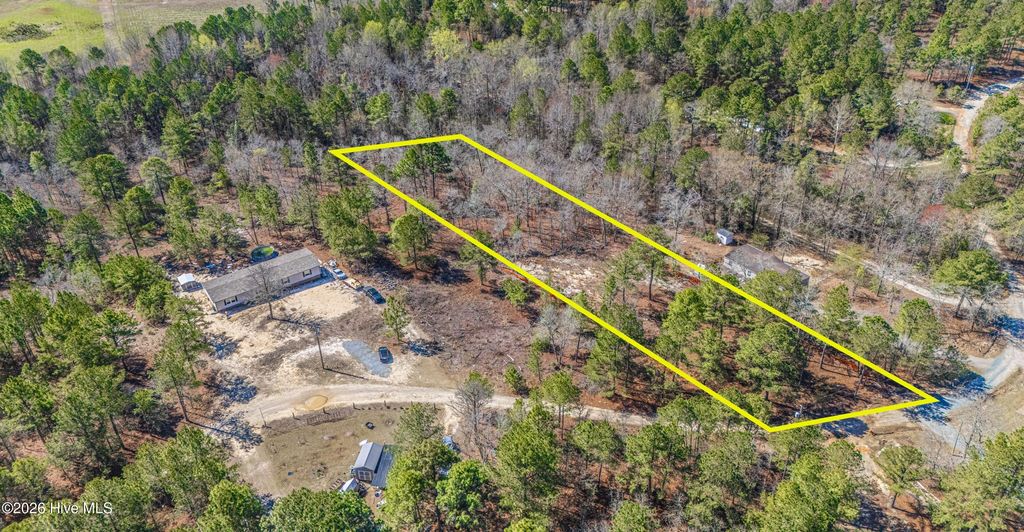 Photo of 708 Ed Thomas Road, Cameron, NC 28326 (MLS # 100561778)