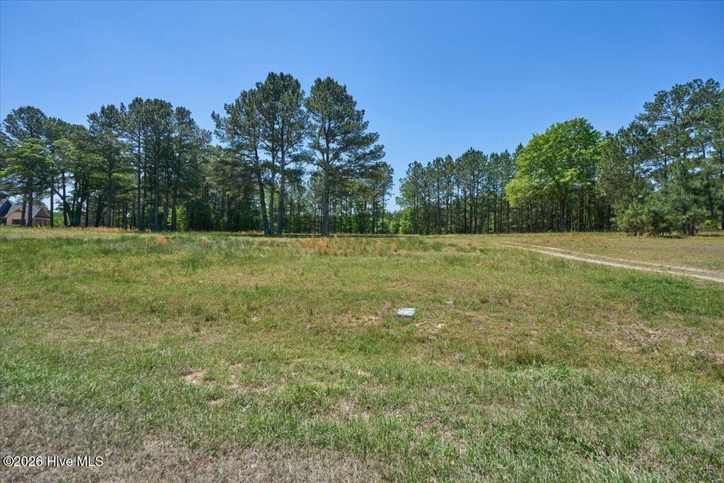 Photo of 510 Carys Lane, West End, NC 27376 (MLS # 100569594)