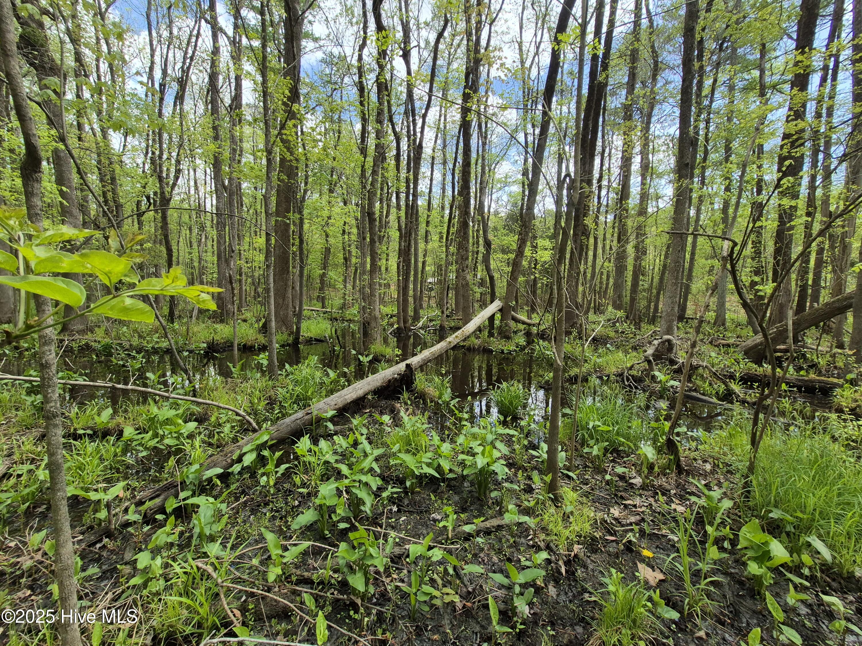 286 Trent Acres Drive