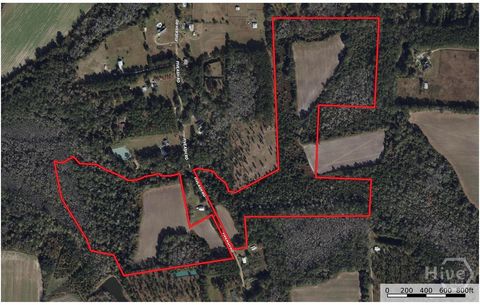 Vacant Land For Sale - 00 Fiveash Road<br/> Lowndes County, Hahira, GA 31632