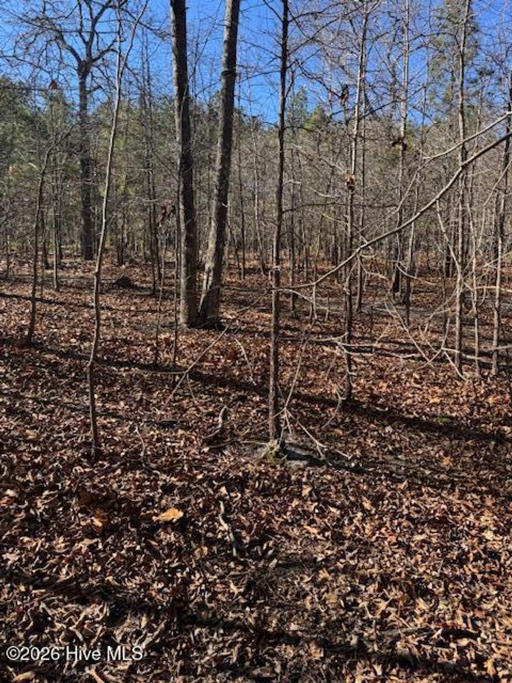 Photo of 123 James Drive, West End, NC 27376 (MLS # 100550064)