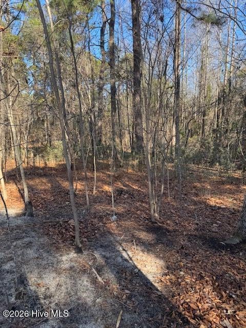 Vacant Land For Sale - 123 James Drive<br/> West End, NC 27376