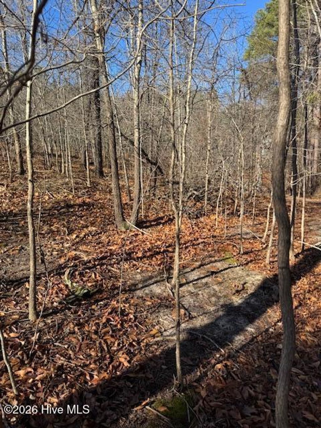 Photo of 123 James Drive, West End, NC 27376 (MLS # 100550064)