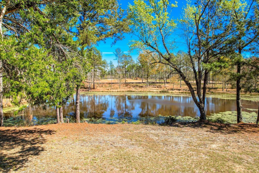 Photo of 6355 Cobbham Road, Appling, GA 30802 (MLS # 553389)