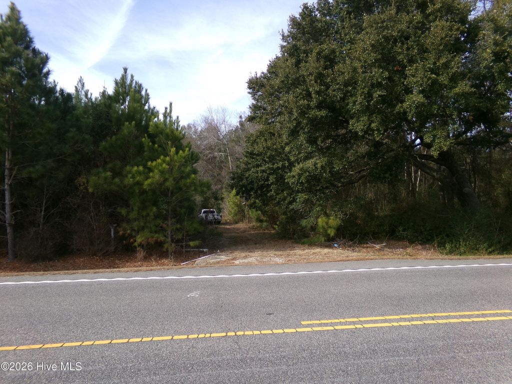 Photo of 6194 Joe Brown Highway S, Chadbourn, NC 28431 (MLS # 100550652)