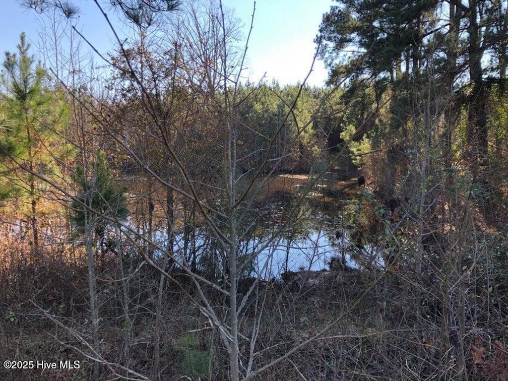 Photo of 316 Old Cheraw Highway, Rockingham, NC 28379 (MLS # 100546953)
