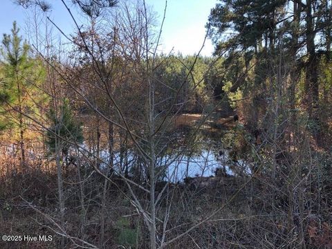Homes For Sale - 316 Old Cheraw Highway<br/> Rockingham, NC 28379