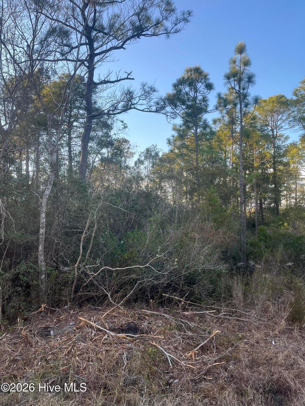 Photo of 224 W South Shore Drive, Southport, NC 28461 (MLS # 100550881)