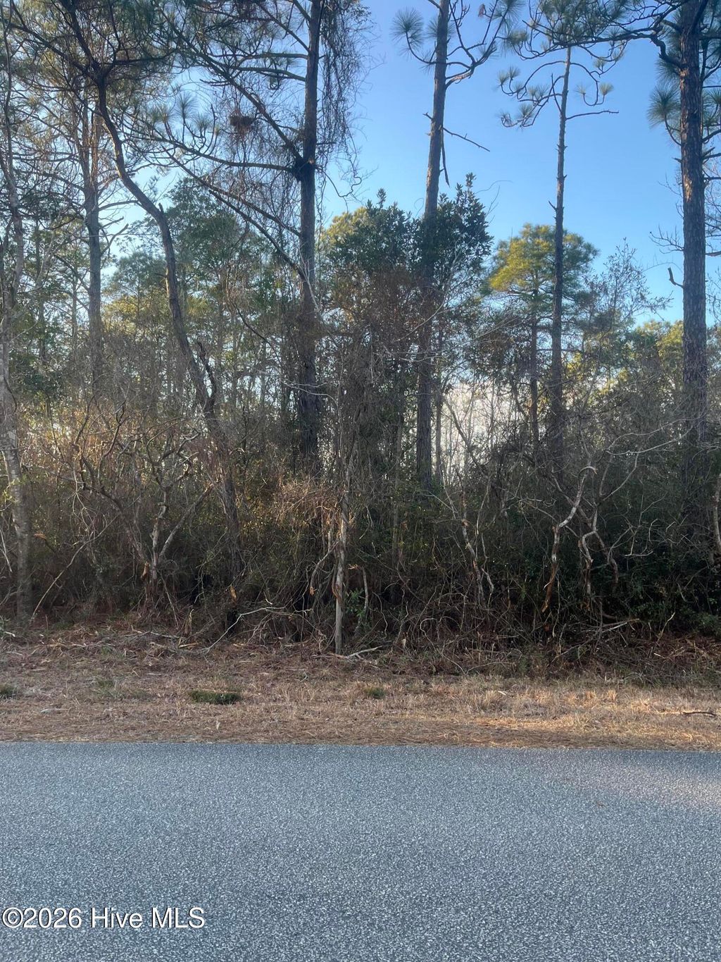 Photo of 224 W South Shore Drive, Southport, NC 28461 (MLS # 100550881)