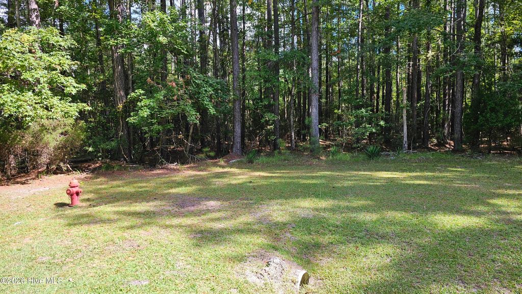 Photo of 168 Arnetta Way N, Oriental, NC 28571 (MLS # 100560776)