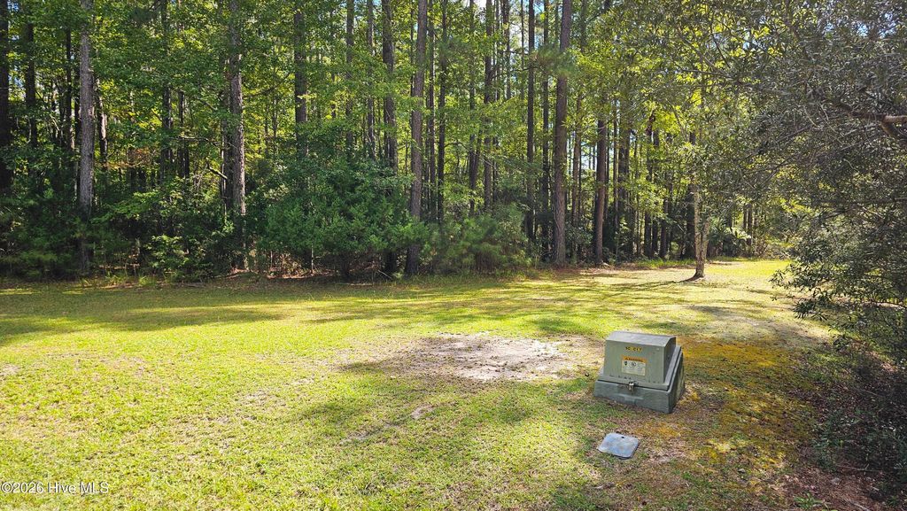 Photo of 168 Arnetta Way N, Oriental, NC 28571 (MLS # 100560776)