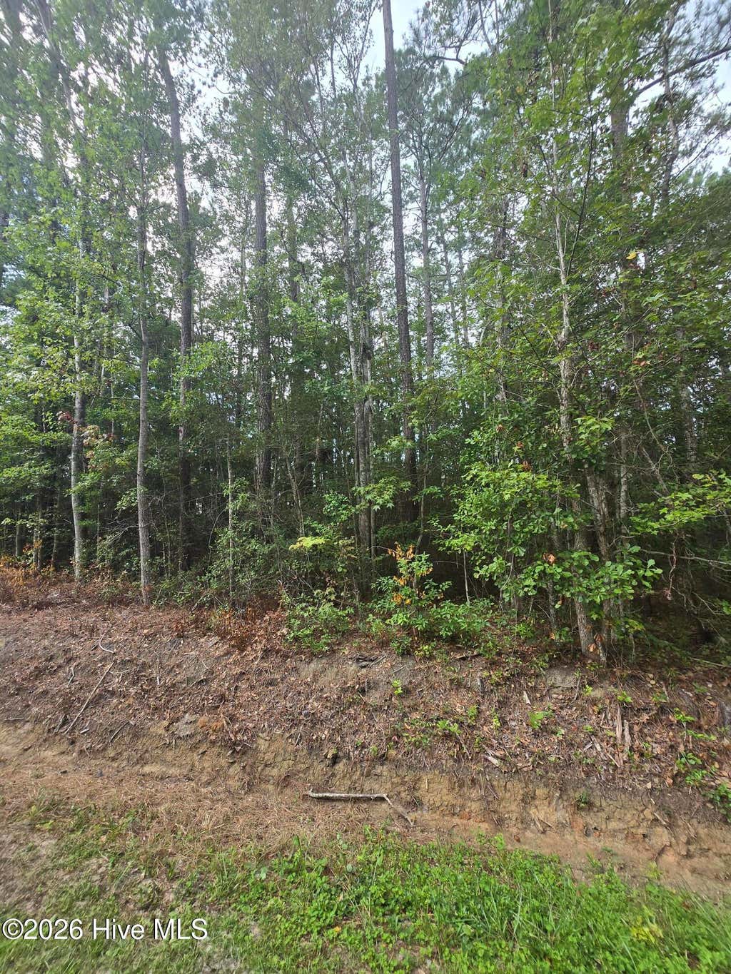 Photo of 6 Myrtlewood Drive SW, Carolina Shores, NC 28467 (MLS # 100596646)