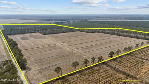 Vacant Land For Sale - Neals Creek Road<br/> Bayboro, NC 28515