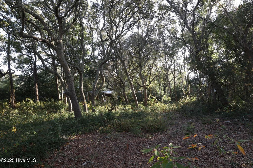 Photo of 111 SE 78th Street, Oak Island, NC 28465 (MLS # 100541309)