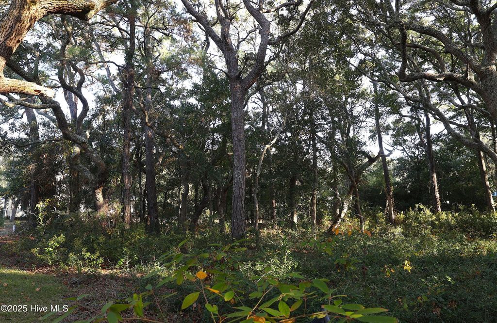 Photo of 111 SE 78th Street, Oak Island, NC 28465 (MLS # 100541309)