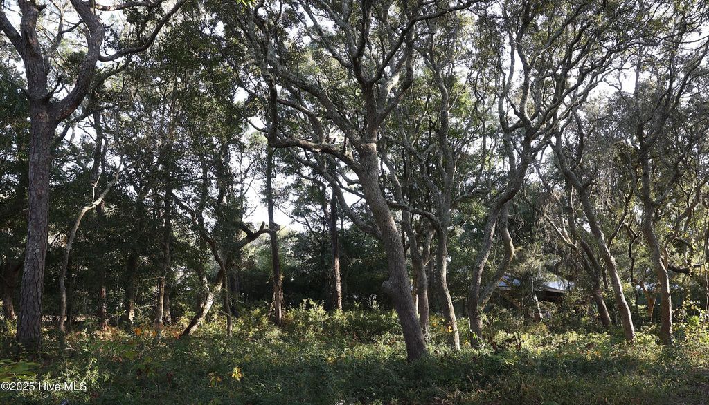 Photo of 111 SE 78th Street, Oak Island, NC 28465 (MLS # 100541309)