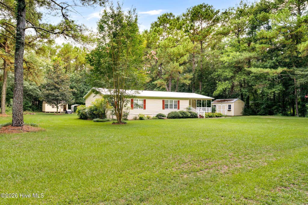 Photo of 170 Hall Herring Lane, Magnolia, NC 28453 (MLS # 100595472)