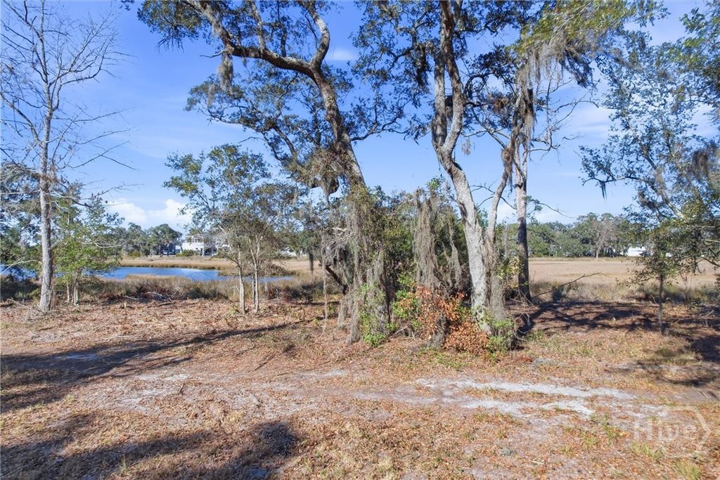 Photo of 5 Bermuda Bluff Lane, Midway, GA 31320 (MLS # SA348422)